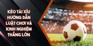 Kèo Tài Xỉu - Hướng Dẫn Luật Chơi và Kinh Nghiệm Thắng Lớn